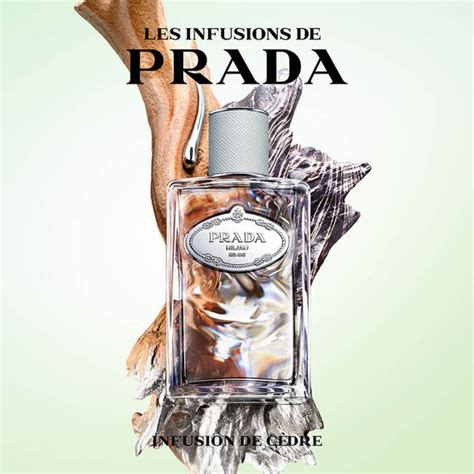 prada iris cedre|Prada iris cedre sephora.